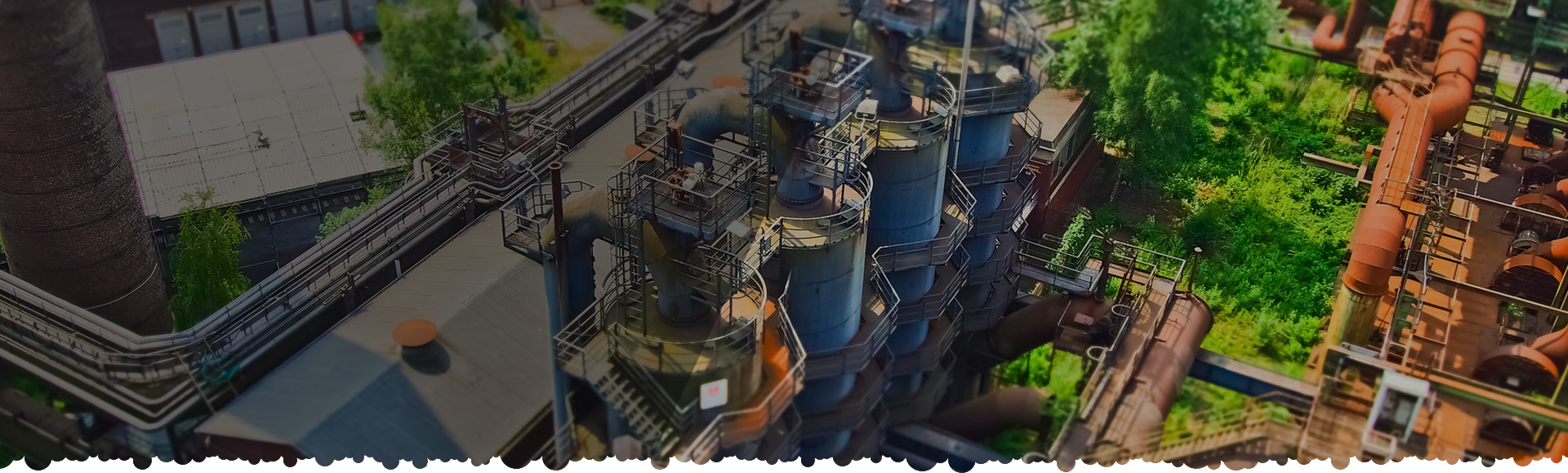 Eco Chemia - marka własna